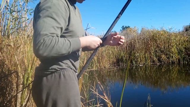 Осенняя рыбалка на трофейных карасей. Супер клев! Караси просто монстры.