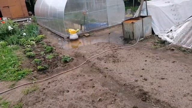 #7июня. #я. #мою душевую. #гуляем под дождём.#борнаякислота смотреть онлайн