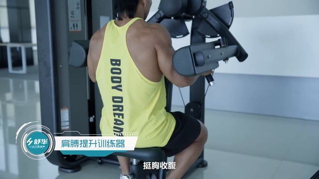 Дельт-машина SHUA SH-6805 смотреть онлайн