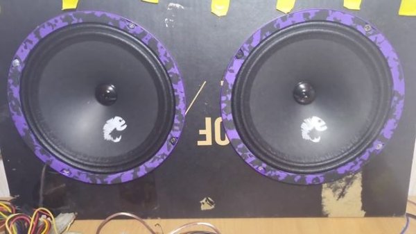 Динамики DL Audio Piranha 200 | дёшево и громко