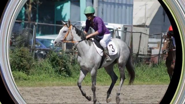 Скачки и бега ЛОШАДЕЙ / Благовещенск 2022 смотреть онлайн