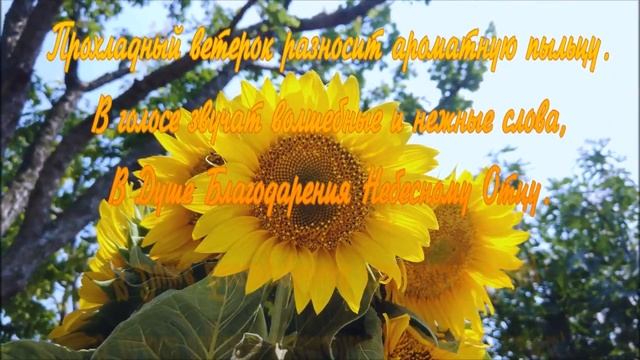Спасибо за Любви Пространство на Земле! Автор стихотворения А. Соколов. смотреть онлайн