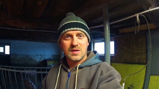 Подкинул поросят свиноматки которая должна только опороситься смотреть онлайн