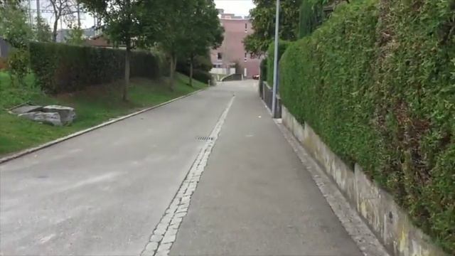 Walk to ELZA смотреть онлайн