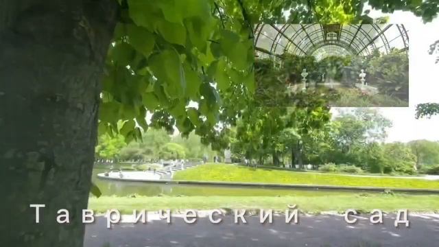 Локация. Метро Чернышевская. Таврический сад - 8 минут пешком / Дворец. Аврора. смотреть онлайн