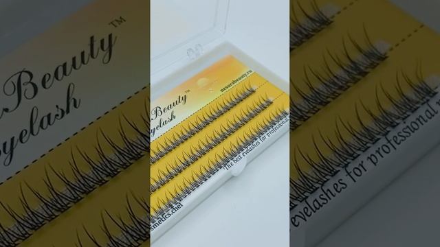 NesuraBeauty Swallowtail 08mm 2V смотреть онлайн