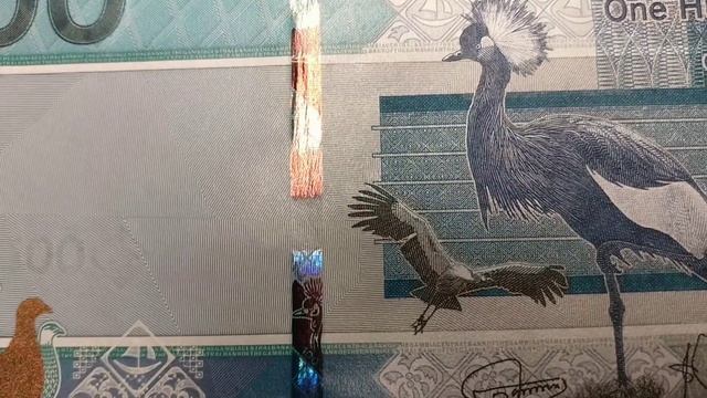#8 Банкноты Гамбии 2019 / Banknotes Of The Gambia #BanknoTime #review #Гамбия #обзор #ультрафиолет
