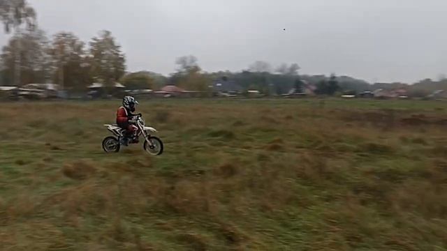 kayo kt50 смотреть онлайн