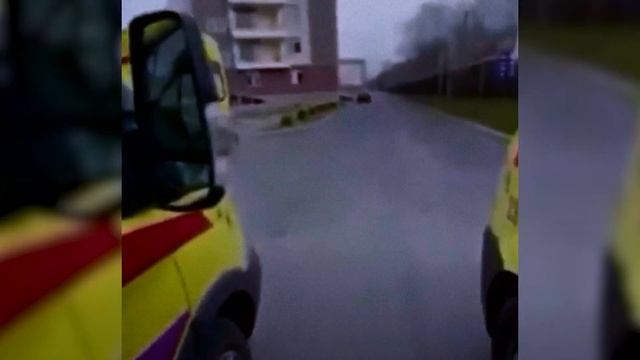 Покажи бицуху! смотреть онлайн