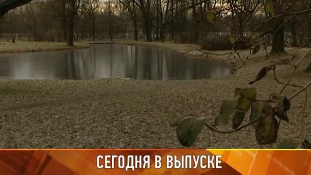 Письмо в защиту Баболовского парка смотреть онлайн