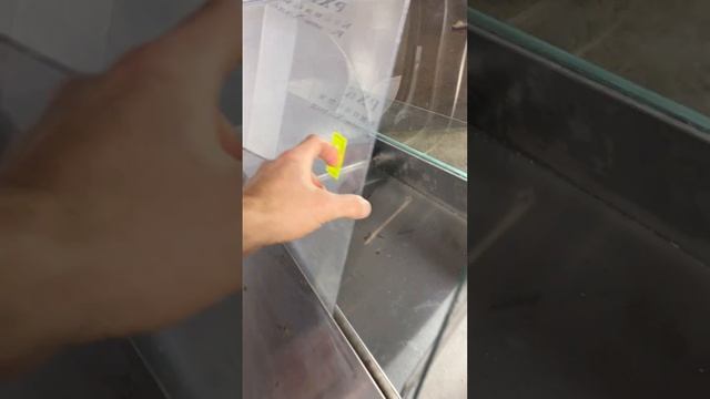 Настольная витрина Арктика смотреть онлайн