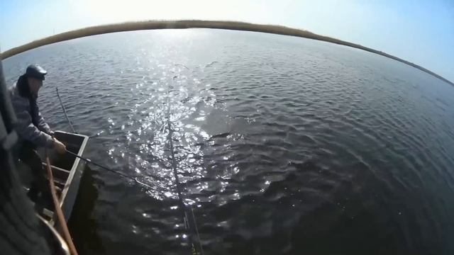 Fishing Рыбалка . 1 марта 2016 . Ростовская область река Кагальник . смотреть онлайн