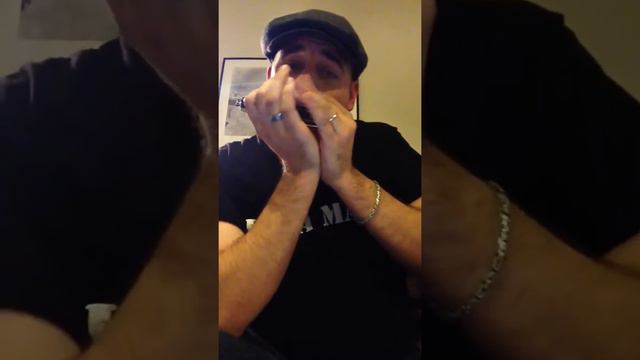 Blues in third position. Chromatic Swan 12-48 harmonica in key of C. Backing track in key of D. смотреть онлайн