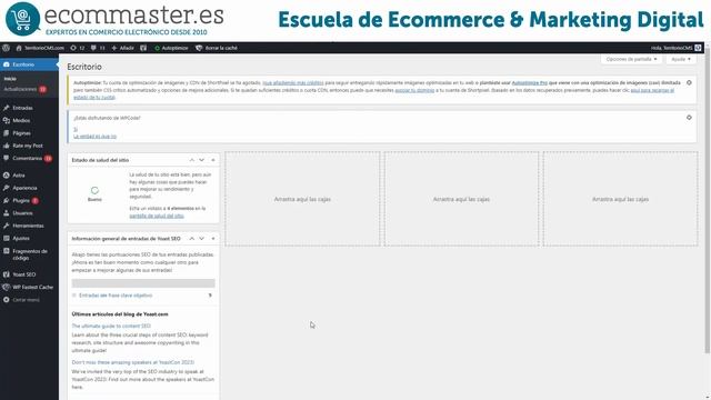 ¿Desindexar Categorías y Etiquetas (tags) en WordPress? Configuración YOAST y RANKMATH смотреть онлайн