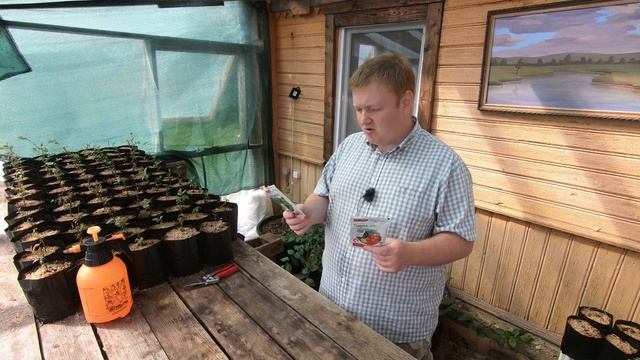 Это поможет защитить вашу голубику смотреть онлайн