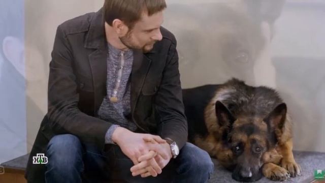 Максим и Мухтар смотреть онлайн