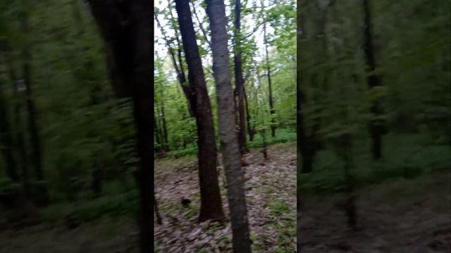 Сполна получит коллективный Запад . смотреть онлайн