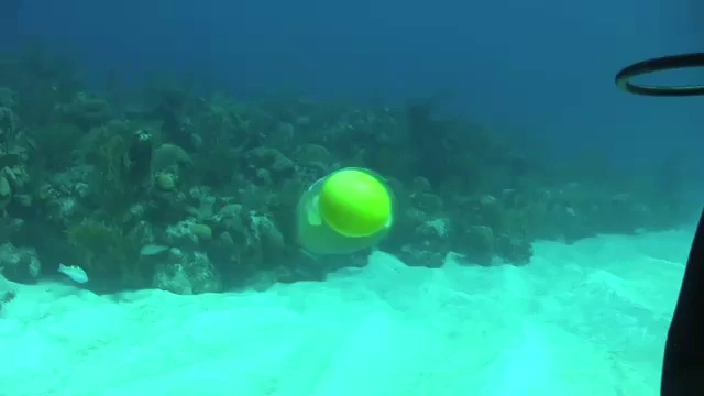 Что будет с яйцом если его разбить в соленой воде смотреть онлайн