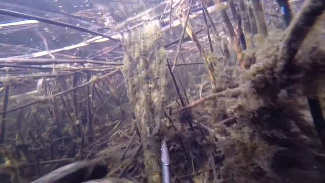 Подводная охота смотреть онлайн