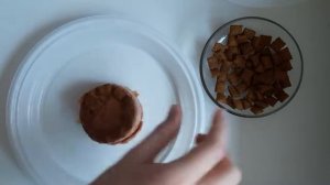 ЧТО ЭТО? КАК СДЕЛАТЬ тортик на День Рождения для кота!