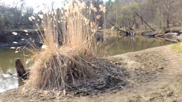 Рыбалка в Пензенской Области на реке Вядь.(железный мосток) Плотва Уклейка. смотреть онлайн