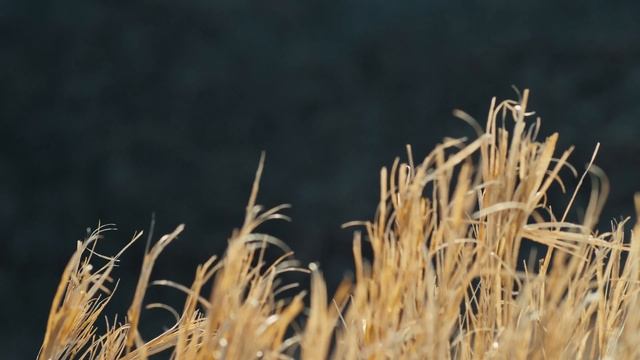 It's Time смотреть онлайн