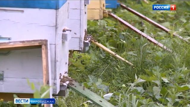 2023 093 2023 11 07 Помочь развивать паломнический и внутренний туризм в ЕАО могут блогеры смотреть онлайн