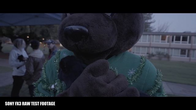 Is the Sony FX3 Worth the Extra Cost? | Video Equipment Review смотреть онлайн