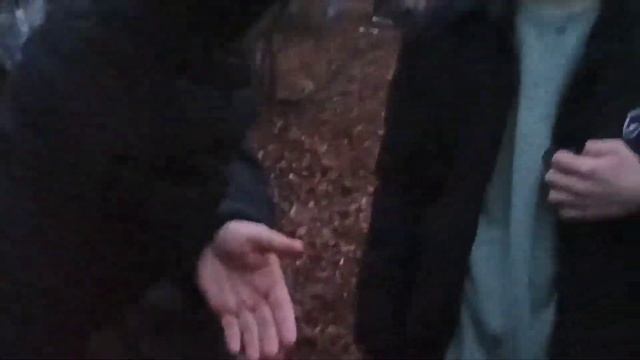 Наши друзья - летучие мыши смотреть онлайн