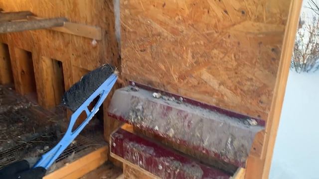 Компактный, утепленный мини курятник на 10 кур. СЕРИЯ 3 (январь 2022г.) смотреть онлайн