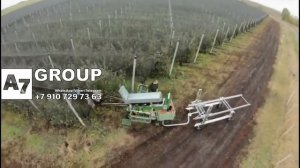 Комбайн для уборки яблок в саду (Китай)