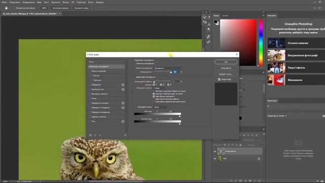 Тема 4. Як створювати водяний знак в Adobe Photoshop смотреть онлайн