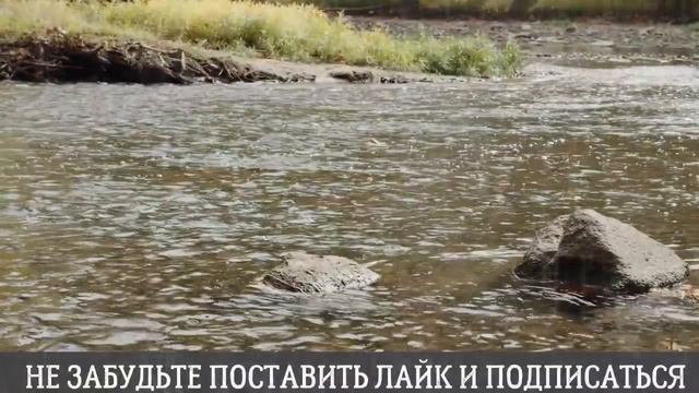 Жена увидела мужа с другой и приняла решение...Истории из жизни. Аудиорассказ - жизненная история смотреть онлайн