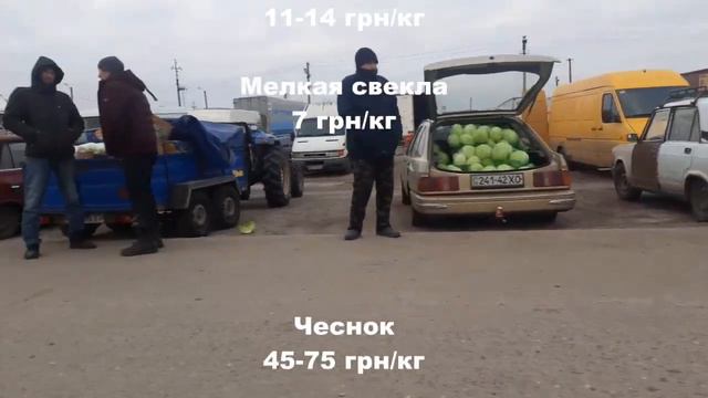 Великі Копані ринок ціни 4 лютого смотреть онлайн