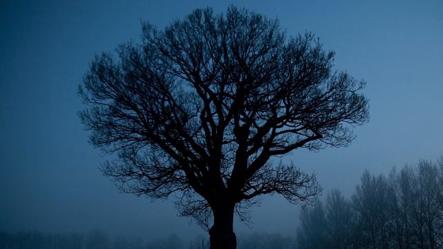 The Caretaker - Libet's Delay (Lower Pitch) смотреть онлайн