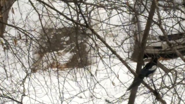 ЗА ОКНОМ И МОИ СТИХИ. смотреть онлайн