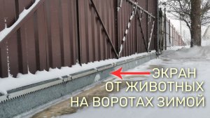 Экран от животных на нижнюю щель под воротами зимой: ответ подписчикам