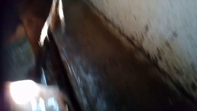 стельные коровы смотреть онлайн