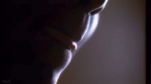 MICHAEL JACKSON - JAM [MJWB’S VIDEO MULTITRACK MIX]