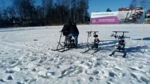 Мотосани Муравей 2021 , четыре варианта.