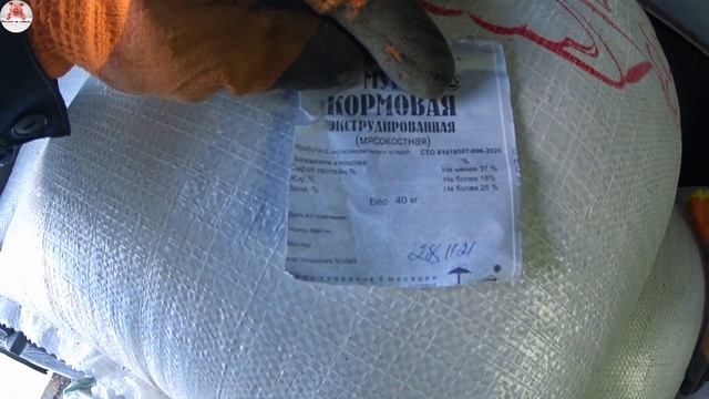 366??Забой трех свиней ‼️Покупка мясокостной муки и кормов ‼️ смотреть онлайн