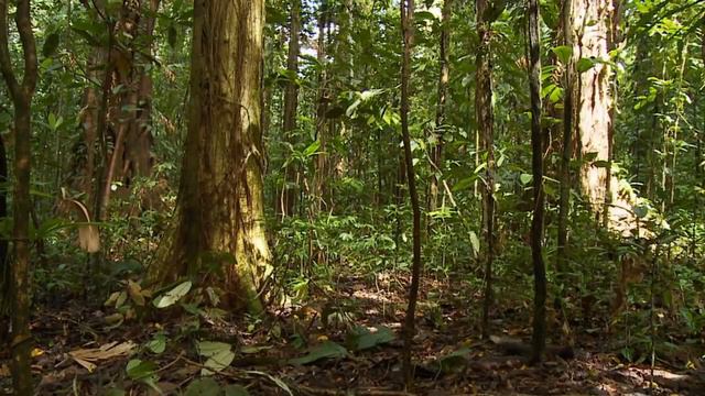 Место, Куда Не Ступала Нога Человека. смотреть онлайн