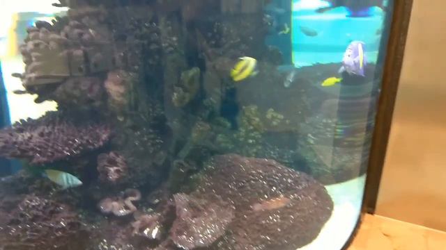 7 минут красоты в торговом центре MEGA в Каунасе! смотреть онлайн