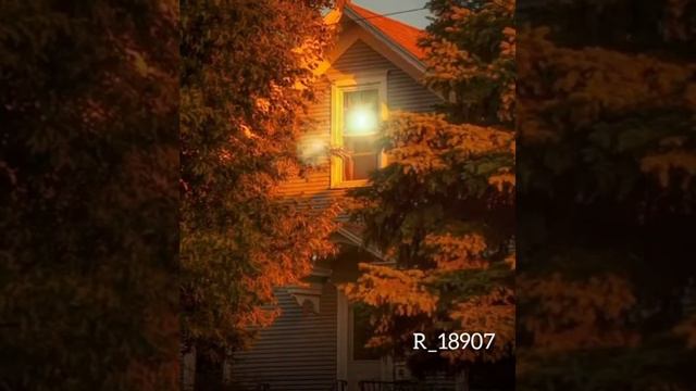 Шейх Шамиль Аш-шишани смотреть онлайн