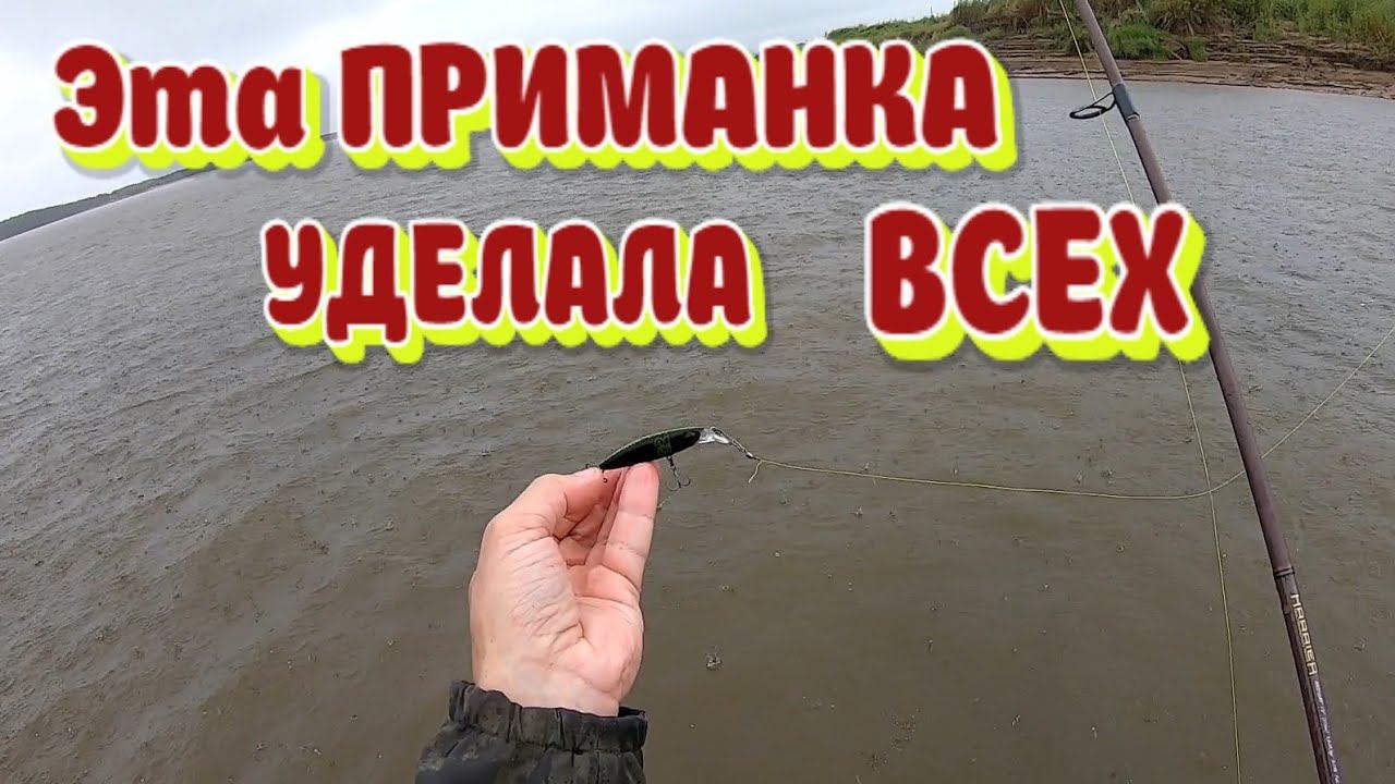 Эта ПРИМАНКА УДЕЛАЛА ВСЕХ. Рыблака на спиннинг смотреть онлайн