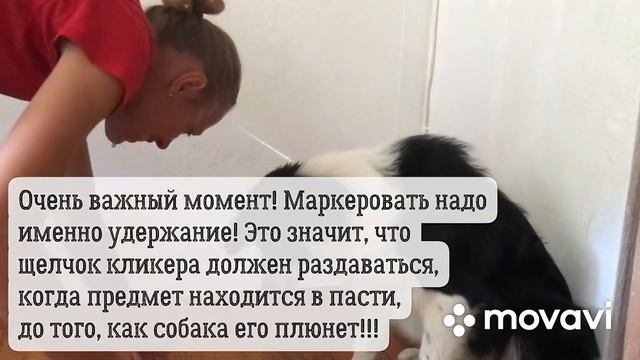 Как научить собаку удерживать апорт смотреть онлайн