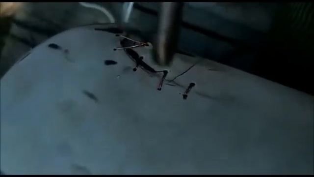 Ремонт пластика скутера honda dio смотреть онлайн