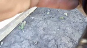 лифт-комплект для Оки бесплатно на своими руками