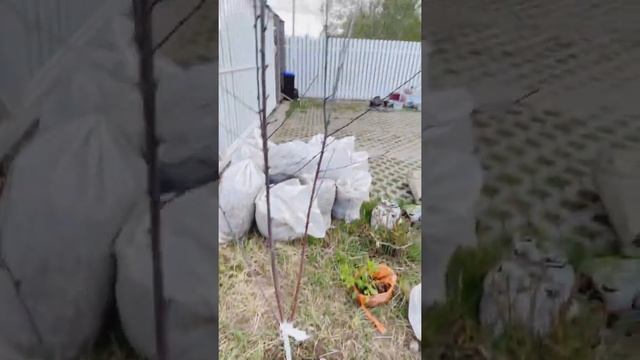 Настоящая жизнь домохозяек: мифы и реальность. Делюсь своими наблюдениями и личным опытом. смотреть онлайн