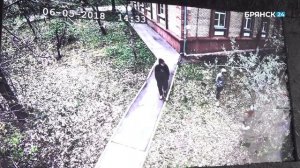 Лиза Алерт 10 лет